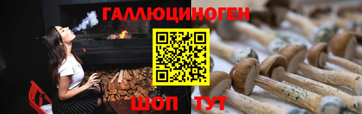 Галлюциногенные грибы GOLDEN TEACHER  Вход с VPN  Галлюциногенные грибы мухоморы  Гусь-Хрустальный 